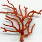 aa